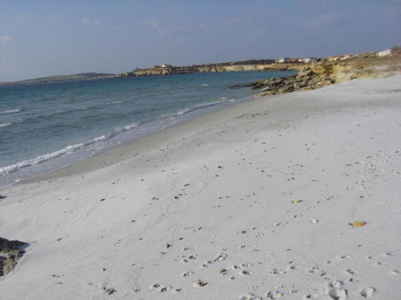 Sardinia Eco Vegan House Bed & Breakfast Zeddiani Eksteriør bilde