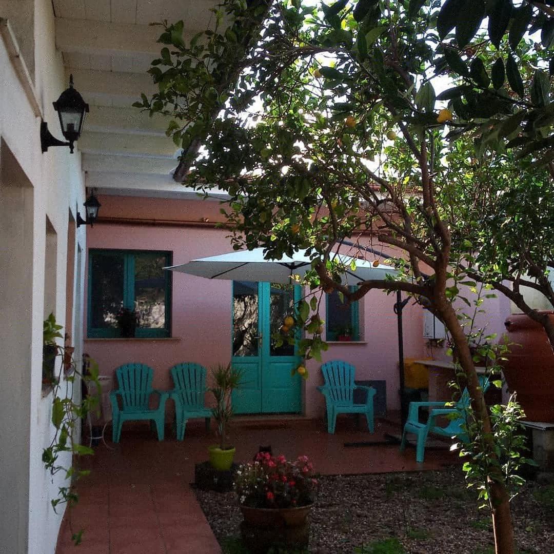 Sardinia Eco Vegan House Bed & Breakfast Zeddiani Eksteriør bilde