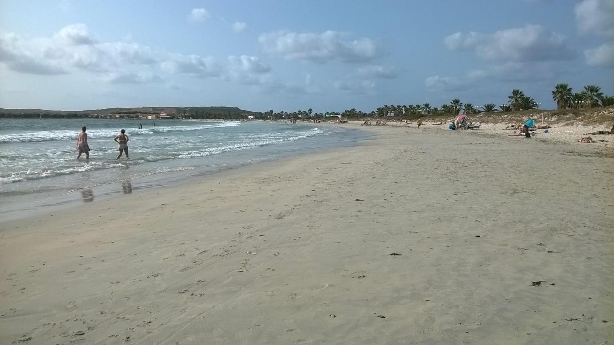 Sardinia Eco Vegan House Bed & Breakfast Zeddiani Eksteriør bilde